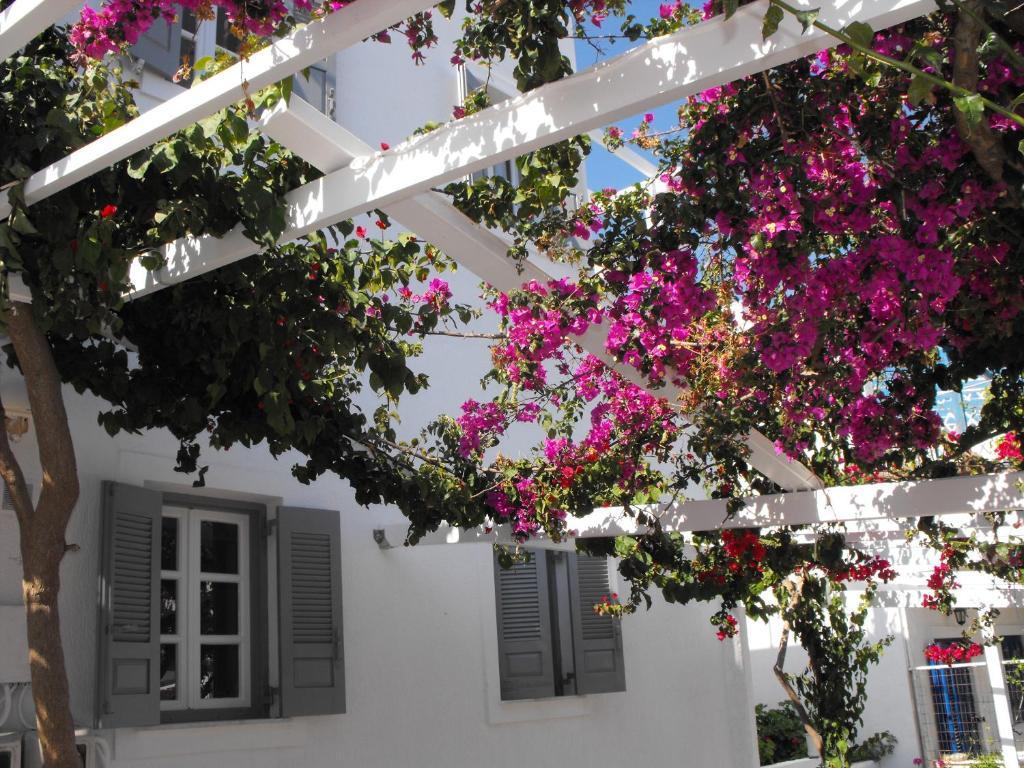 Milos Bay Suites Adamantas  ภายนอก รูปภาพ
